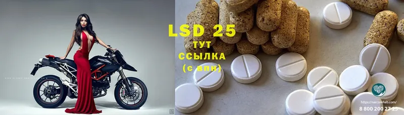 Лсд 25 экстази ecstasy  закладки  Багратионовск 